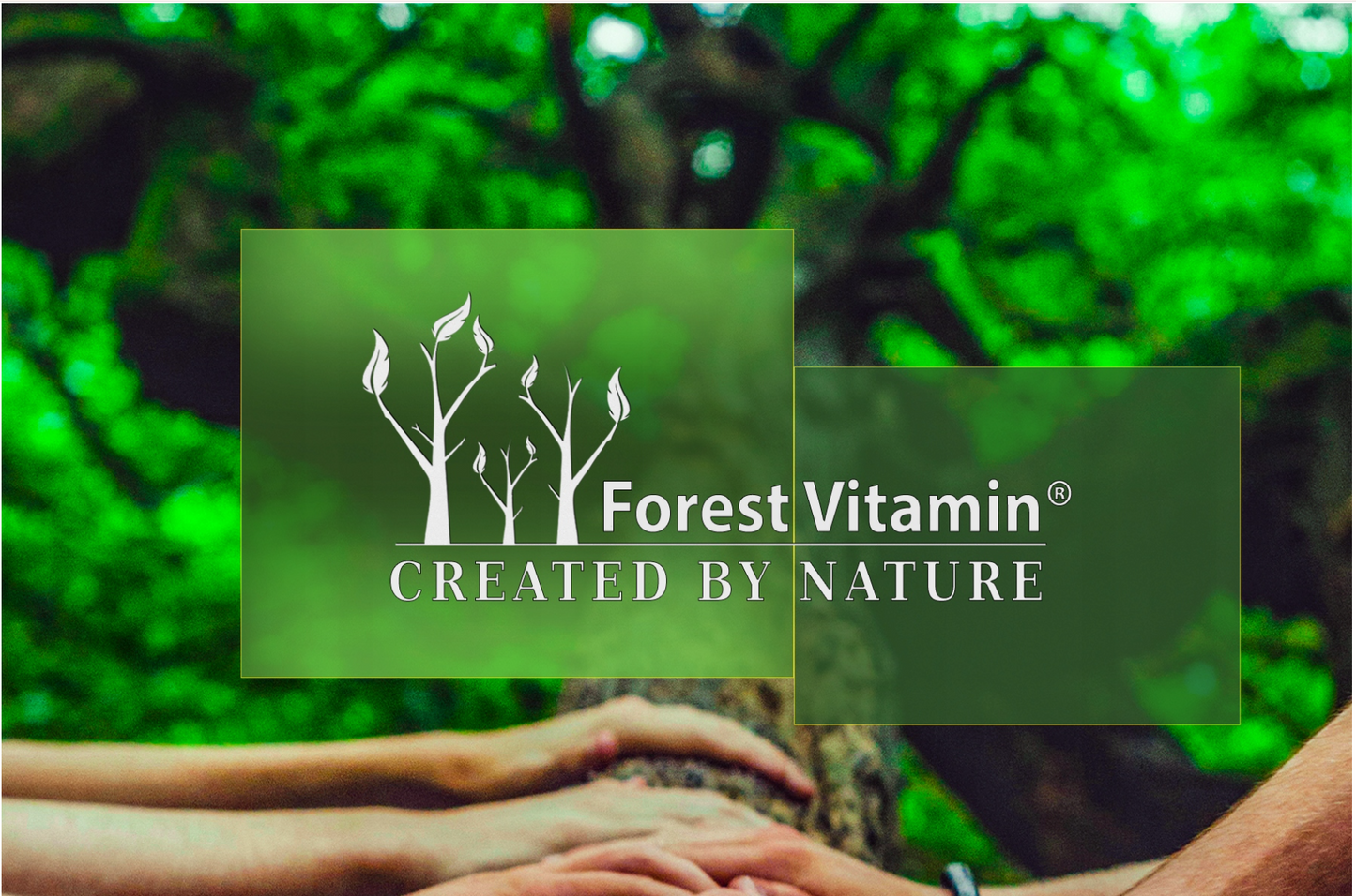 Forest Vitamin D3 5000 IU, K2 MK-7 100mcg, food supplement for strong joints, bones and immunity - 250 tablets